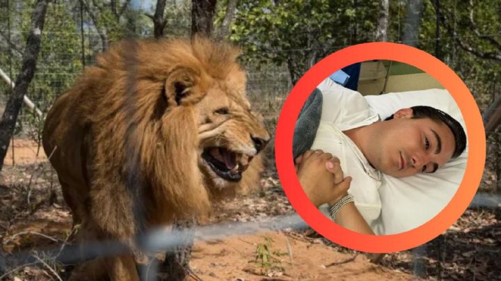 Alcalde de Nuevo León es mordido por león y requiere 12 puntadas; estaba jugando con el felino