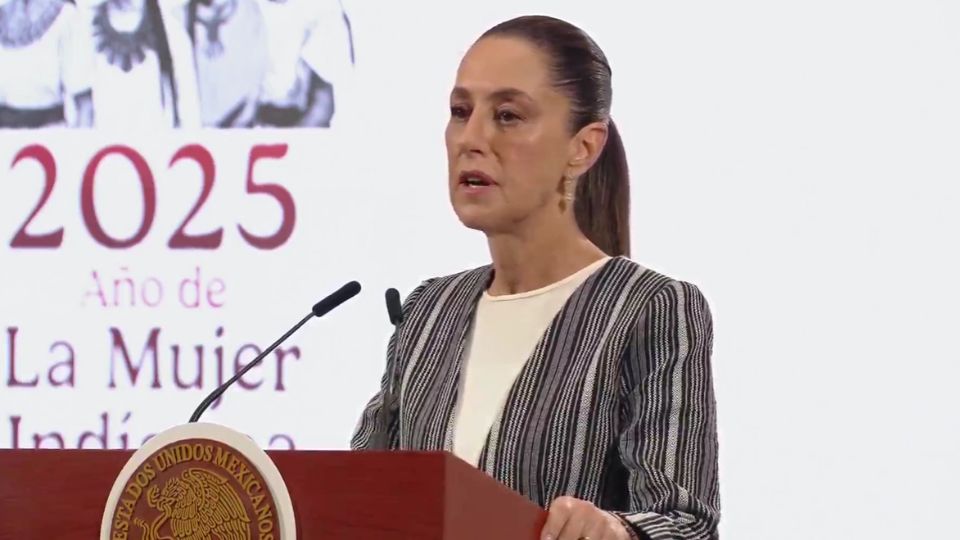 La mandataria federal la Secretaría de Seguridad Ciudadana será apoyada por todo el gabinete de seguridad para realizar las investigaciones en este doble homicidio