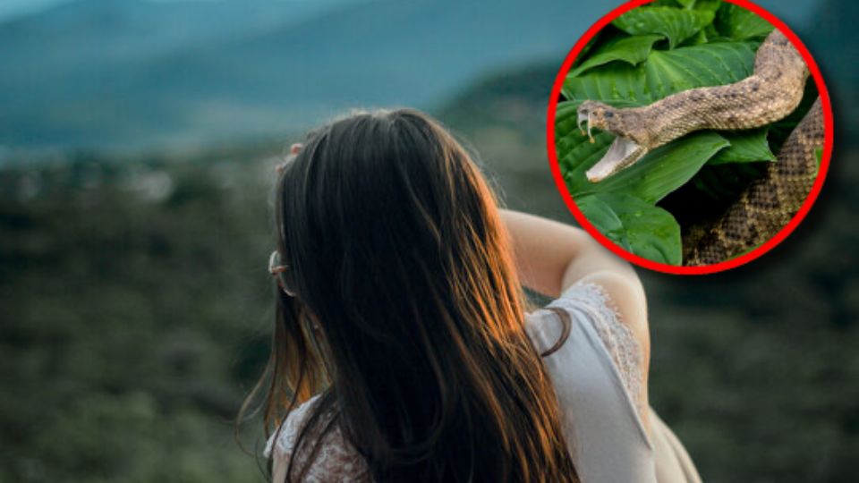 Los profesionales sanitarios recomiendan evitar mitos peligrosos, como succionar el veneno o hacer torniquetes, pues estos pueden ser incluso contraproducentes