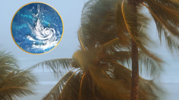 'Alvin' sube al 70% su probabilidad de formación, ¿cuándo se convertiría en huracán?