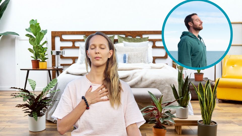 Algunas plantas te ayudarán a dormir mejor y modificarán el aspecto de tu recámara