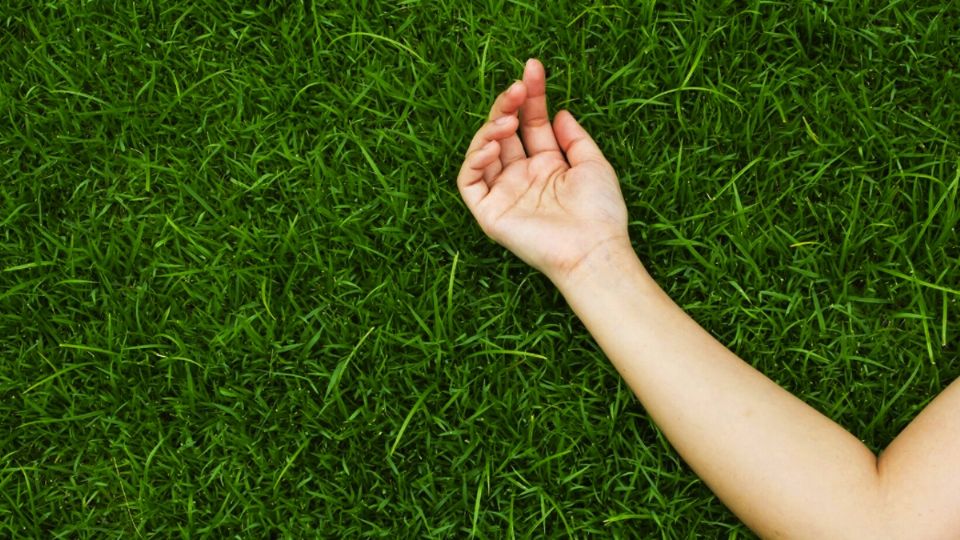 Atziri se derrumbó en el pasto y ya no se levantó.