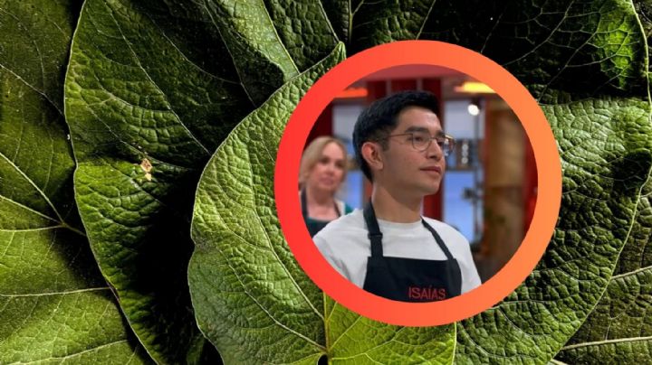 ¿En verdad la hoja santa es tóxica como dijo una juez de Masterchef?, esto dice un experto