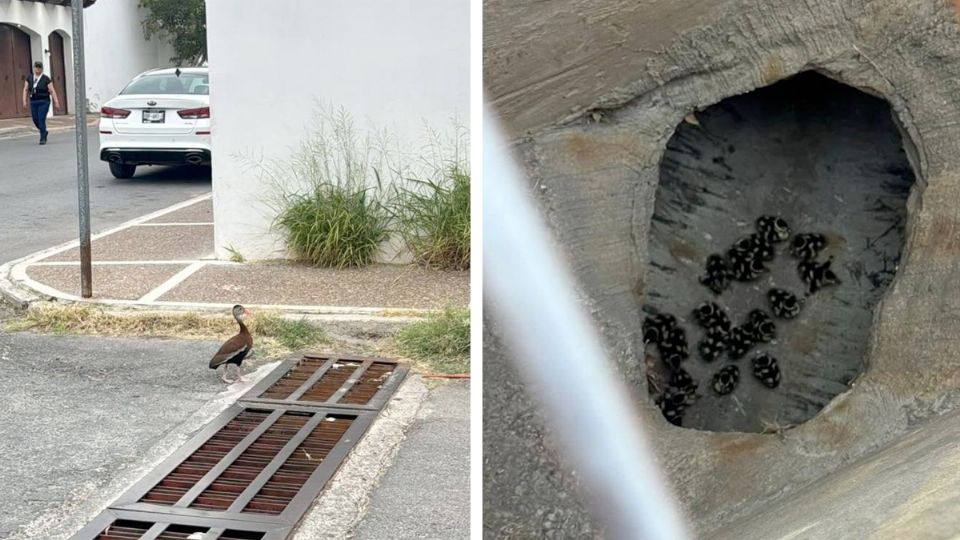 La madre estaba muy alterada.