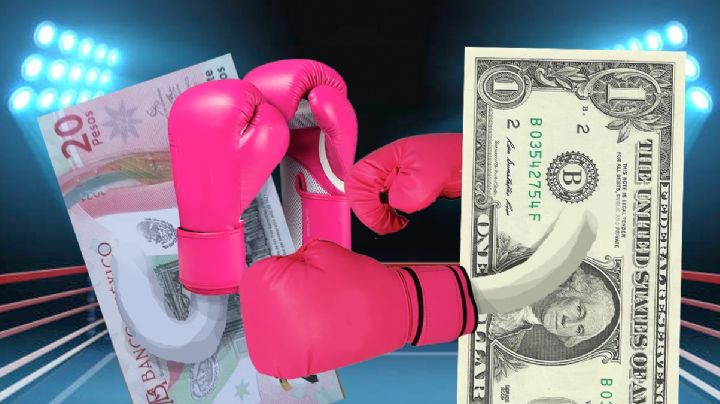 Dólar se levanta de la lona y se le pone bravo al peso; tipo de cambio al cierre HOY 28 de mayo