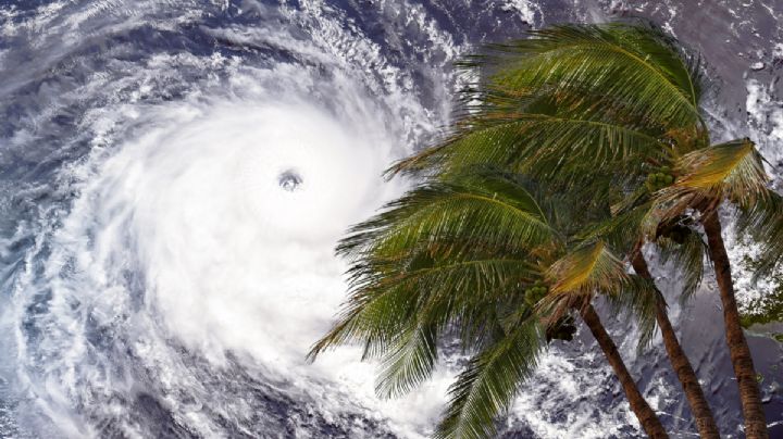 Depresión tropical 1E en el Pacífico es oficial; esperan se convierta en tormenta en menos de 24 hrs