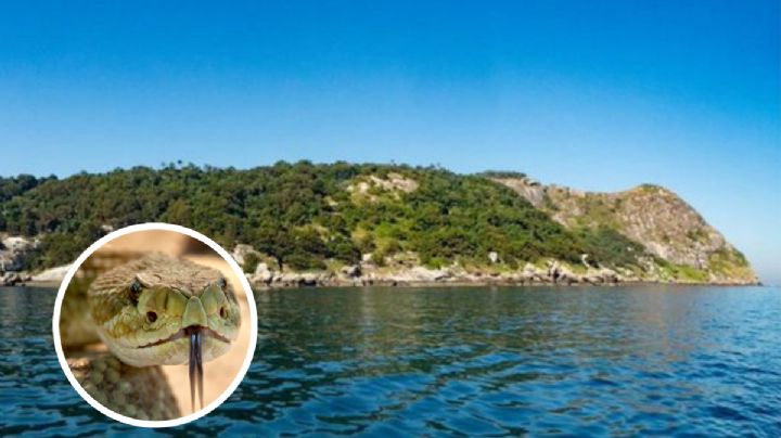 Serpientes no permiten la vida humana en esta isla; se encuentra en un lugar paradisíaco