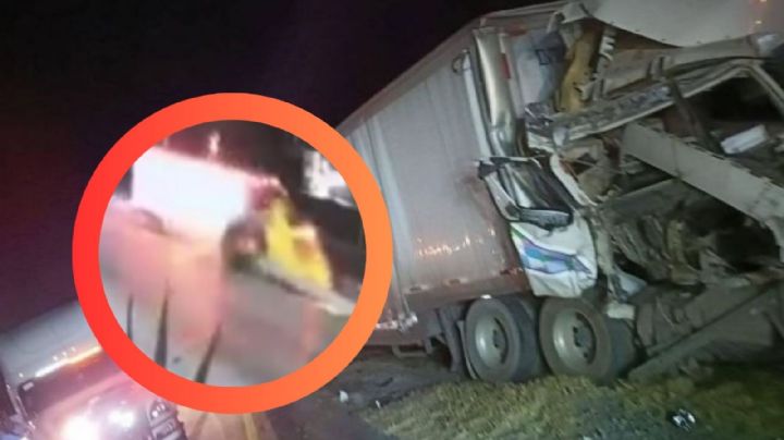 Se quedó dormido al volante: tráiler derriba árbol en aparatoso choque en la México–Querétaro | VIDEO