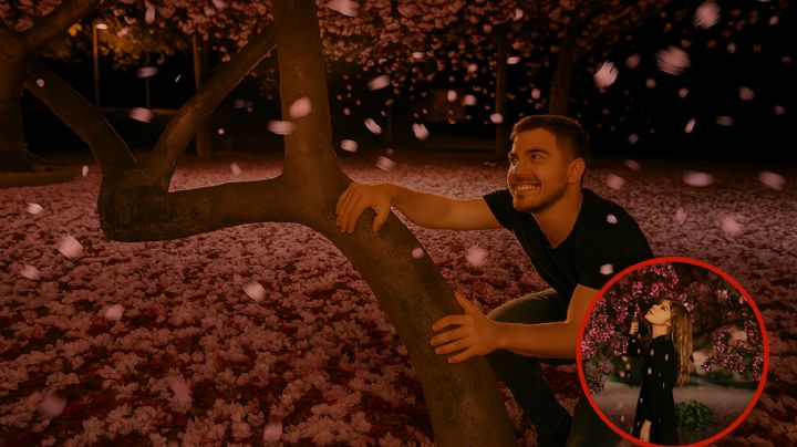 Es uno de los árboles más bonitos del mundo y crece en México, pero su origen no es mexicano