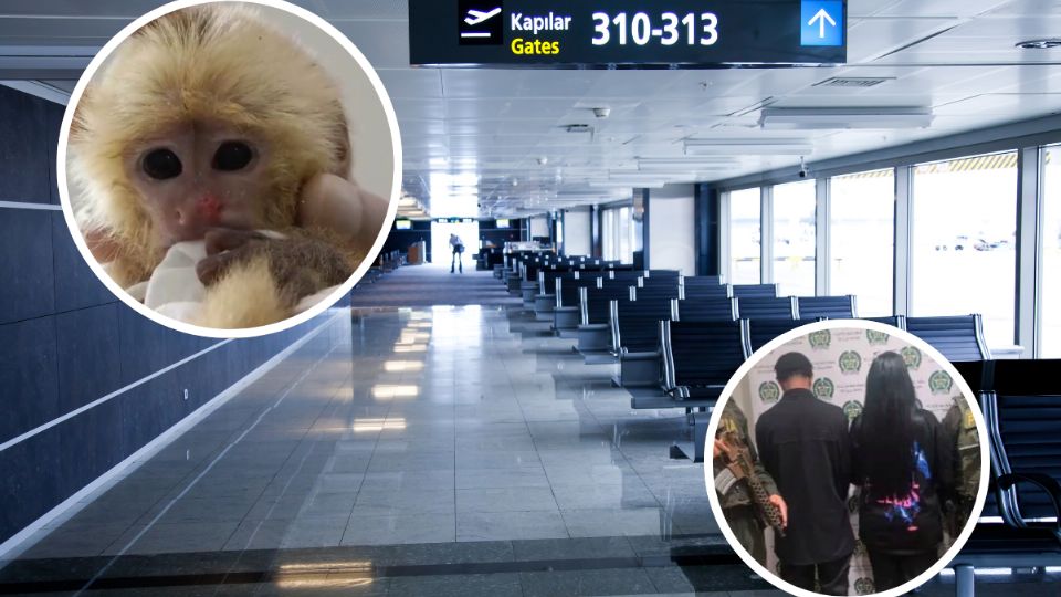 Dos personas buscaban traficar monos