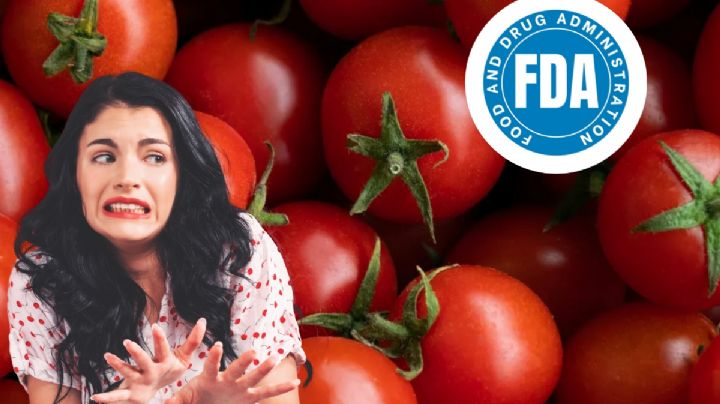 El consumo de este tomate causaría salmonela; FDA comienza a retirarlo de las tiendas