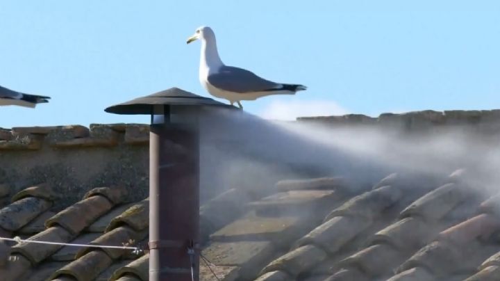 ¡Habemus papam!: humo blanco en el Vaticano; cardenales eligen al nuevo líder de la iglesia católica