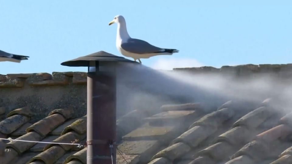 Humo blanco en el Vaticano.