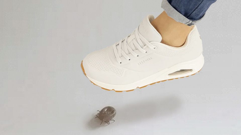 Pisar una garrapata puede resultar contraproducente.