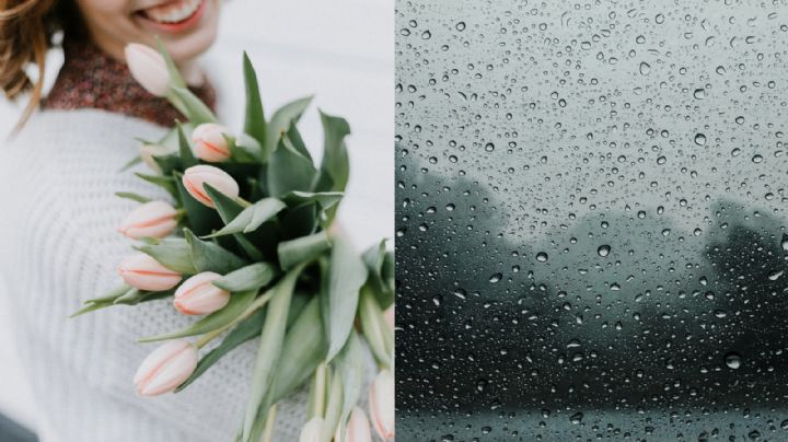 Clima en México: en pleno Día de las Madres 2025 estos estados tendrán lluvias intensas