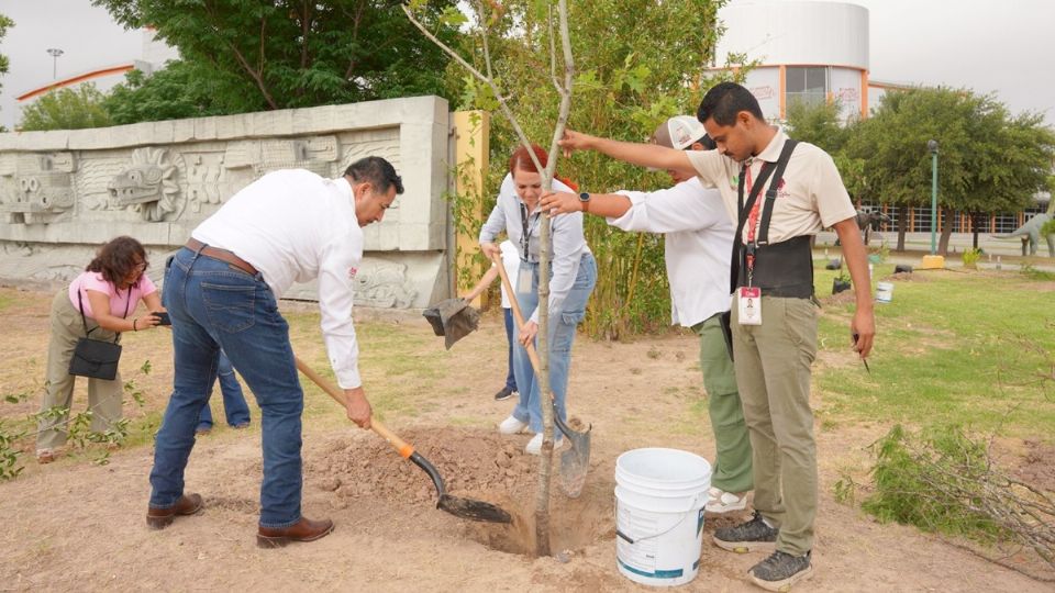 Campaña de reforestación.