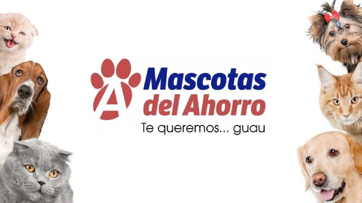 Primero el Dr. Simi, ahora estas farmacias, hasta gratis, darán atención veterinaria a mascotas