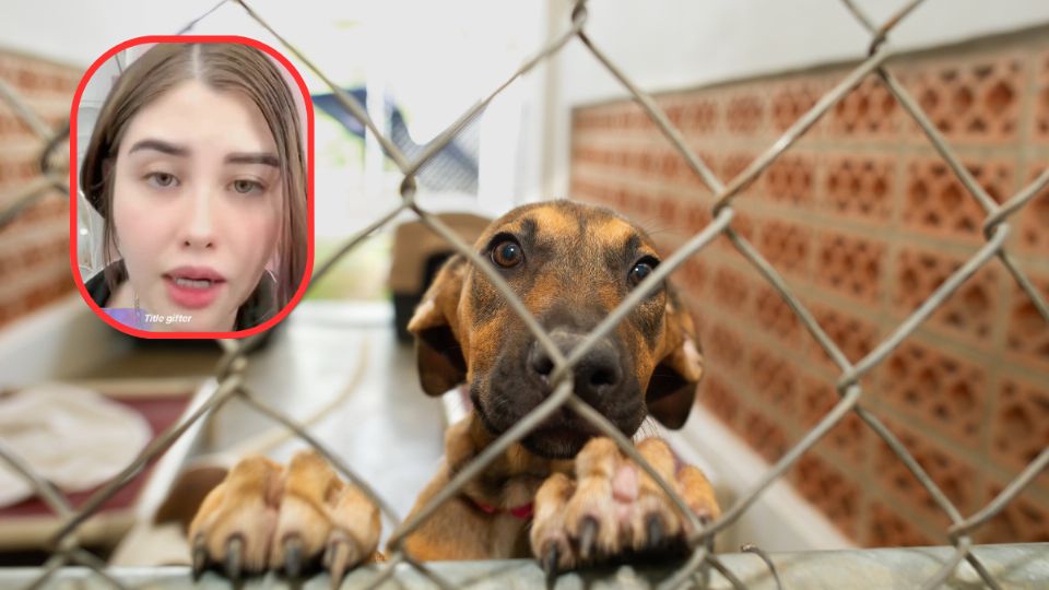 La exfuncionaria del Gobierno de Guadalajara confesó el delito que alguna vez cometió