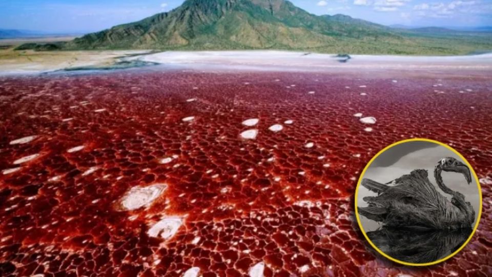 La composición de este lago causa un efecto que incluso los científicos analizan para determinar condiciones en el espacio exterior