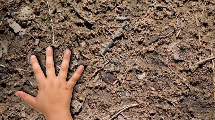Encuentran a niño enterrado en el patio de la casa de sus abuelos; tenía reporte de desaparecido