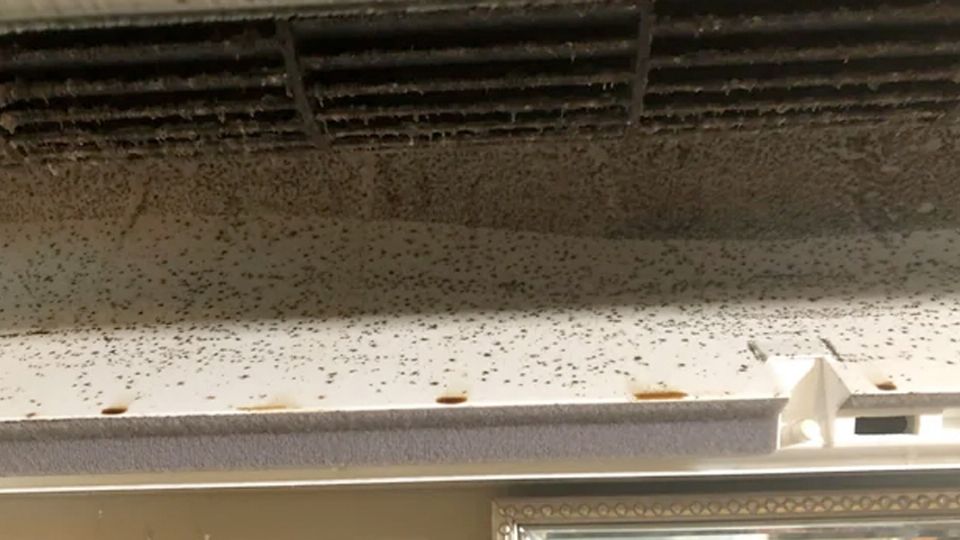 Retira el moho de tu minisplit e forma rápida y sencilla