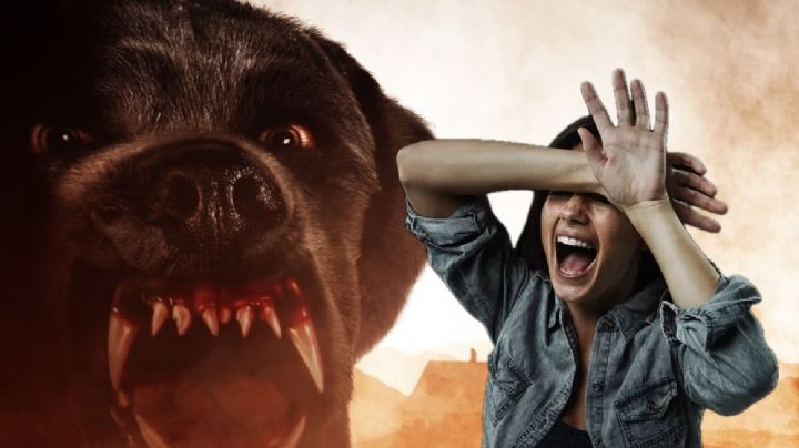 Quinceañera es masacrada por jauría de perros; quería alimentarlos y cuidarlos