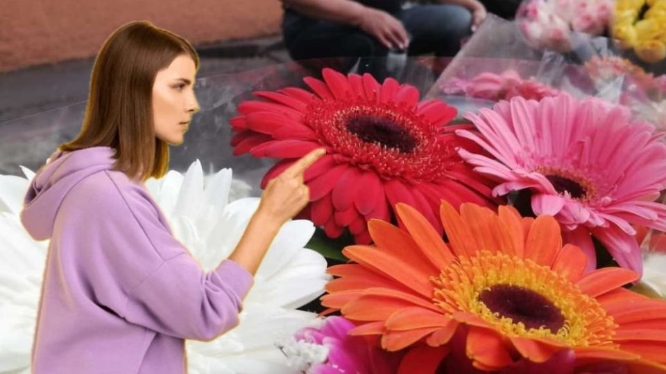 El video se viralizó en redes.