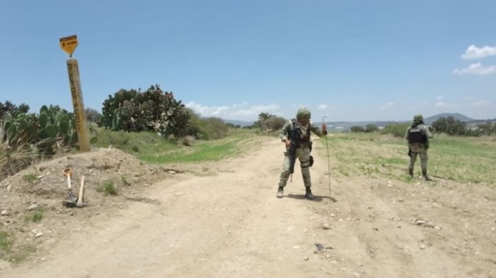 Gabinete de Seguridad desmantela bandas de delincuentes en todo México