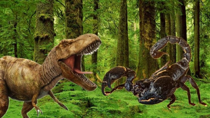 El escorpión que convivió con los dinosaurios; así era el venenoso y temible arácnido