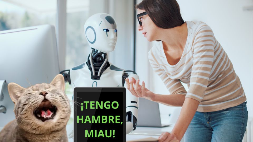 La IA ayudará a tener una mejor comunicación con los gatos