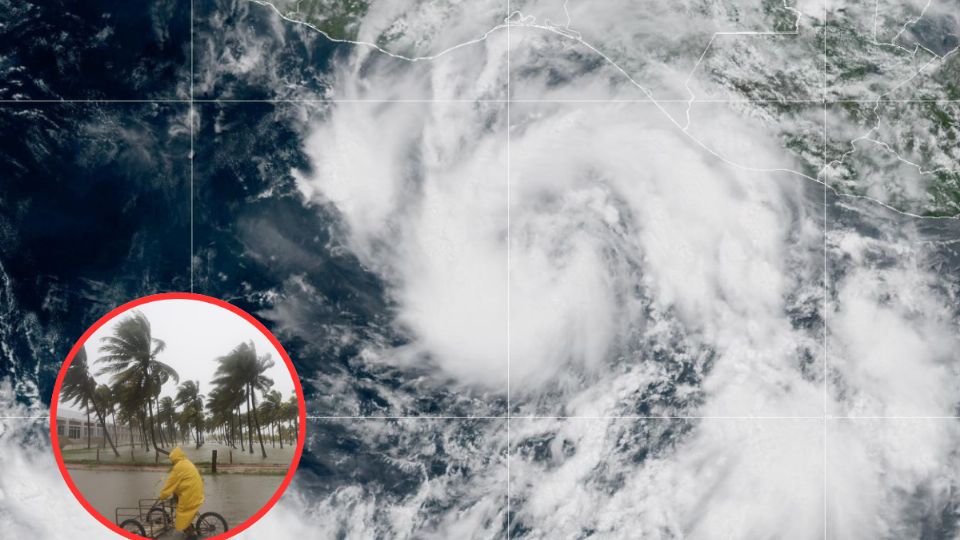 El fenomeno evoluciona rapidamente en las aguas del Pacífico