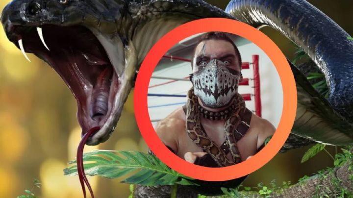Luchador Engendro sufre robo en Nuevo León, se llevaron a su fiel compañera