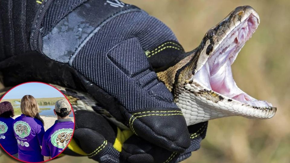 A pesar de lo que primeramente puede pensarse, este acto es necesario para los habitantes de Florida y sus alrededores