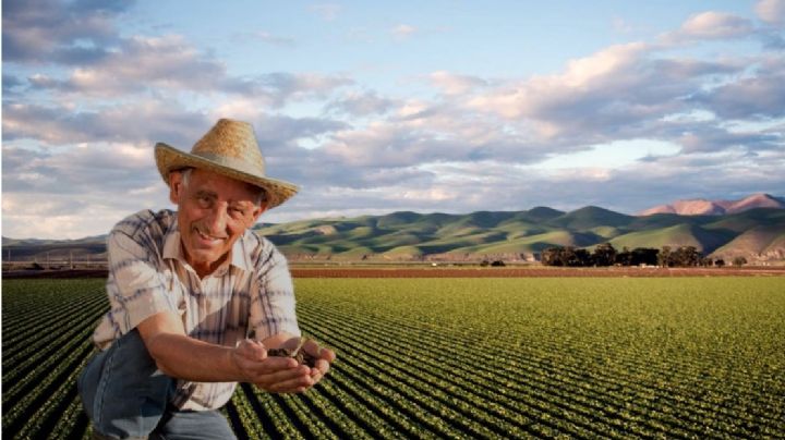 Empresa ofrece sueldo de hasta 20 dólares por hora; estas son las actividades a realizar
