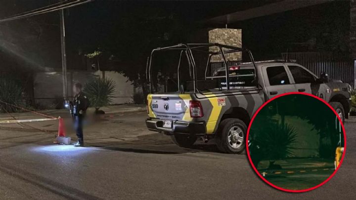 BMW atropella y mata a querido vecino de Santiago; su perrita permaneció junto al cuerpo