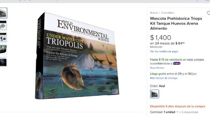 Conoce los huevos vivos de animal prehistórico que puedes comprar de forma legal en Mercado Libre