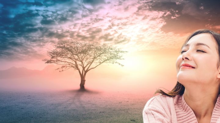 El árbol que previene los piquetes de insectos; sus hojas son curativas