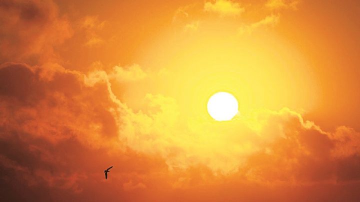 Comienza el verano con calor moderado para los dos Laredos; ¿cuándo subirá más la temperatura?