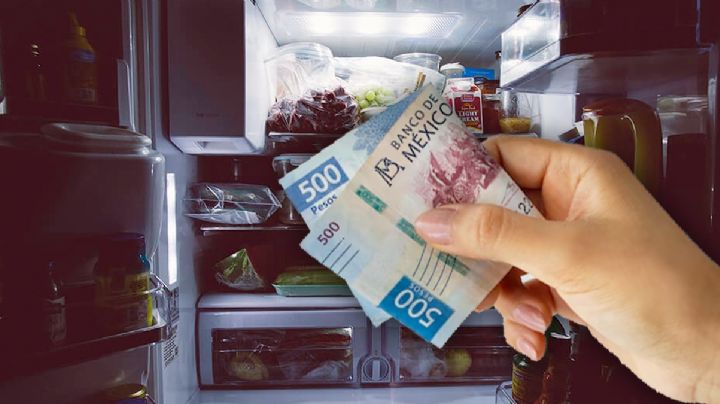 Medidas para que tu refrigerador consuma hasta 30% menos de electricidad