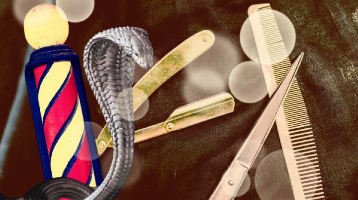 Serpientes y barberías; ¿conoces la misteriosa relación que tienen?