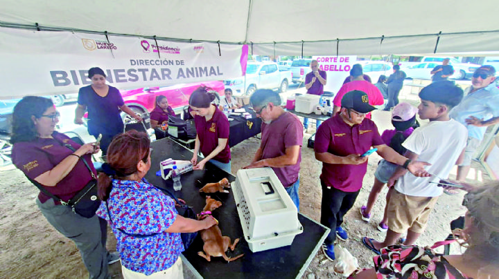 Piden denunciar maltrato animal