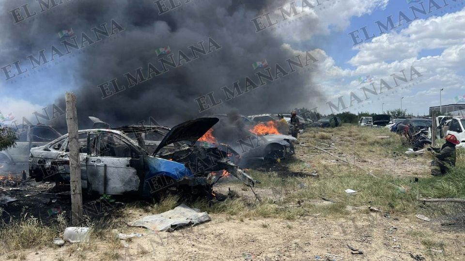 Los 15 autos fueron consumidos por las llamas en su totalidad