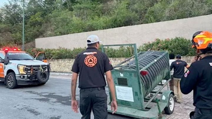 ¿Ya atraparon al puma suelto en Monterrey?; hay temor entre los habitantes de la zona