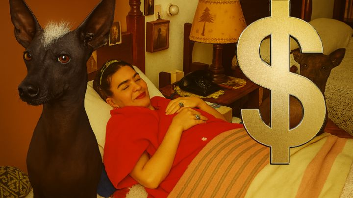 Xoloitzcuintle: el perro guía espiritual que adoraban los mayas y Frida Kahlo; ¿cuánto cuesta en 2025?