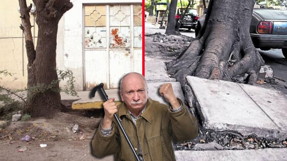 Si el árbol representa un riesgo inmediato (como ramas a punto de caer), se puede actuar de manera preventiva, documentando tu actuar