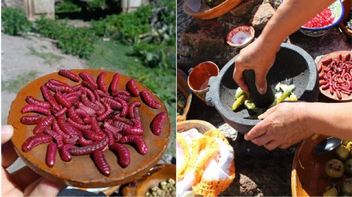 Este pueblito mexicano es el mejor para comer insectos; chinicuiles, gusanos, escamoles y más