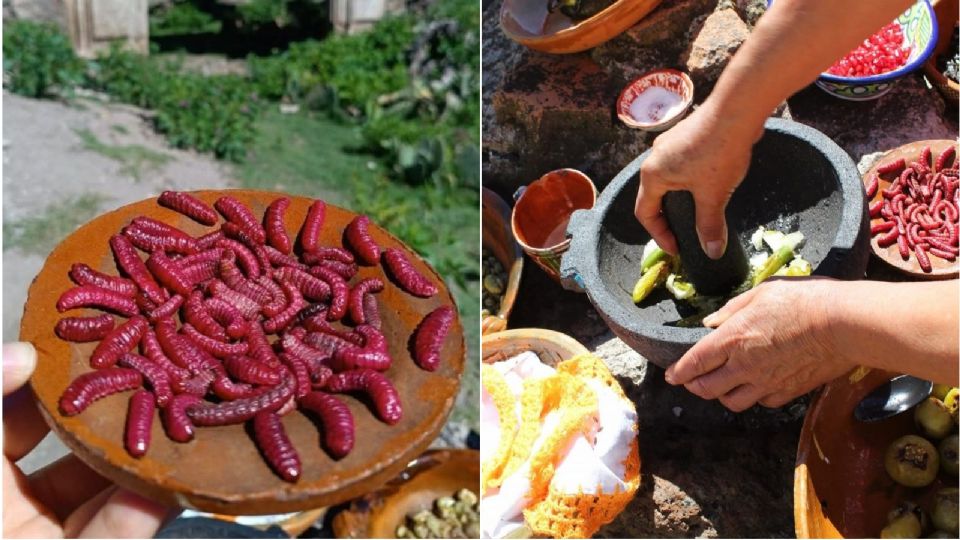 Este pueblito en México alberga los mejores insectos para comer