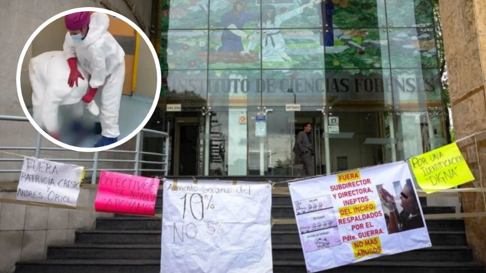 El mal uso de los cuerpos que llegan al Incifo desató una serie de manifestaciones