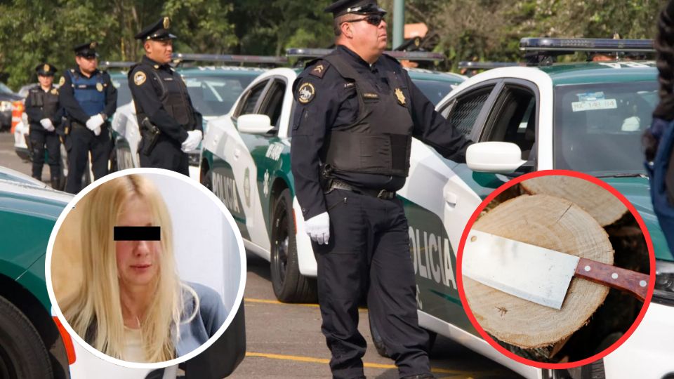 La mujer agredió a su pareja sentimental con un machete
