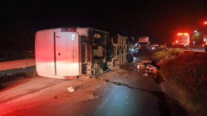 Tragedia en carretera: mueren 11 personas aplastadas en volcadura de autobús; viajaba a Tampico